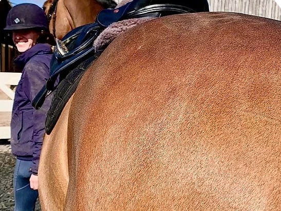 Kingsleighs Equine Education Centre