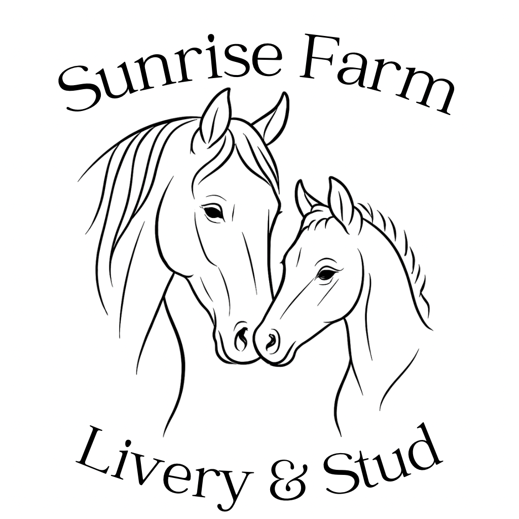 Sunrise Farm Livery and Stud