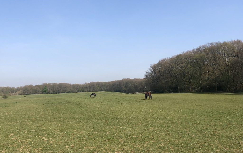 Farleigh Court Equestrian Centre