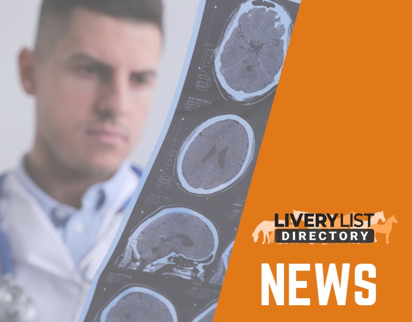 New Research Highlights Improved Concussion Awareness Needed Within Equestrian Sport