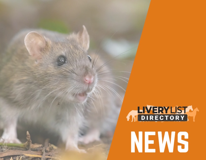 Survey Reveals UK Farms Struggling with Rodent Resistance and Infestations
