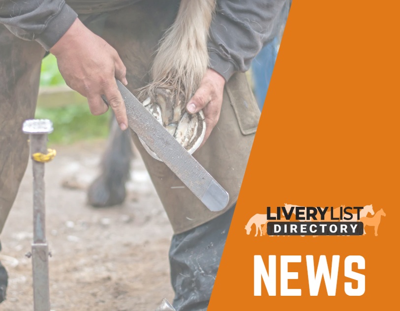 Major Proposed Changes to Farriery and Veterinary Regulation – Have Your Say