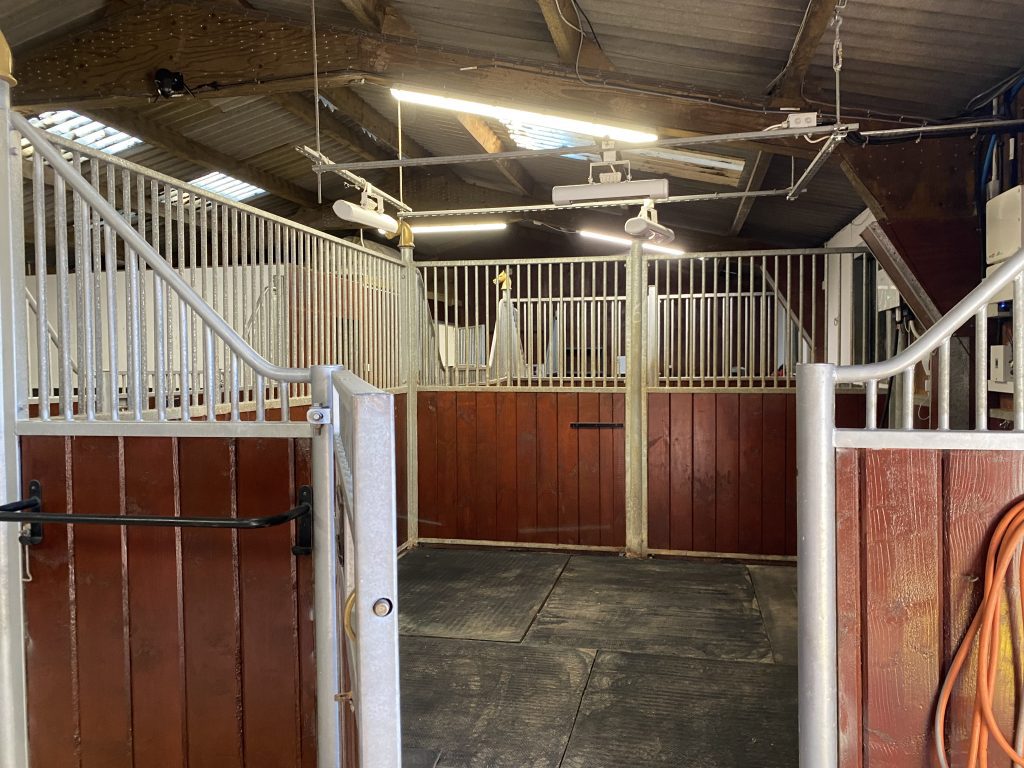 Restore & Enhance Equine Rehabilitation Yard