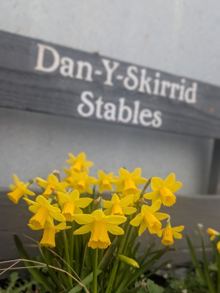 Dan-Y-Skirrid Retirement