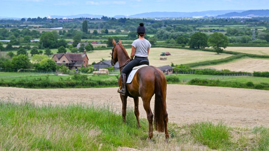 Hollow Farm Equestrian