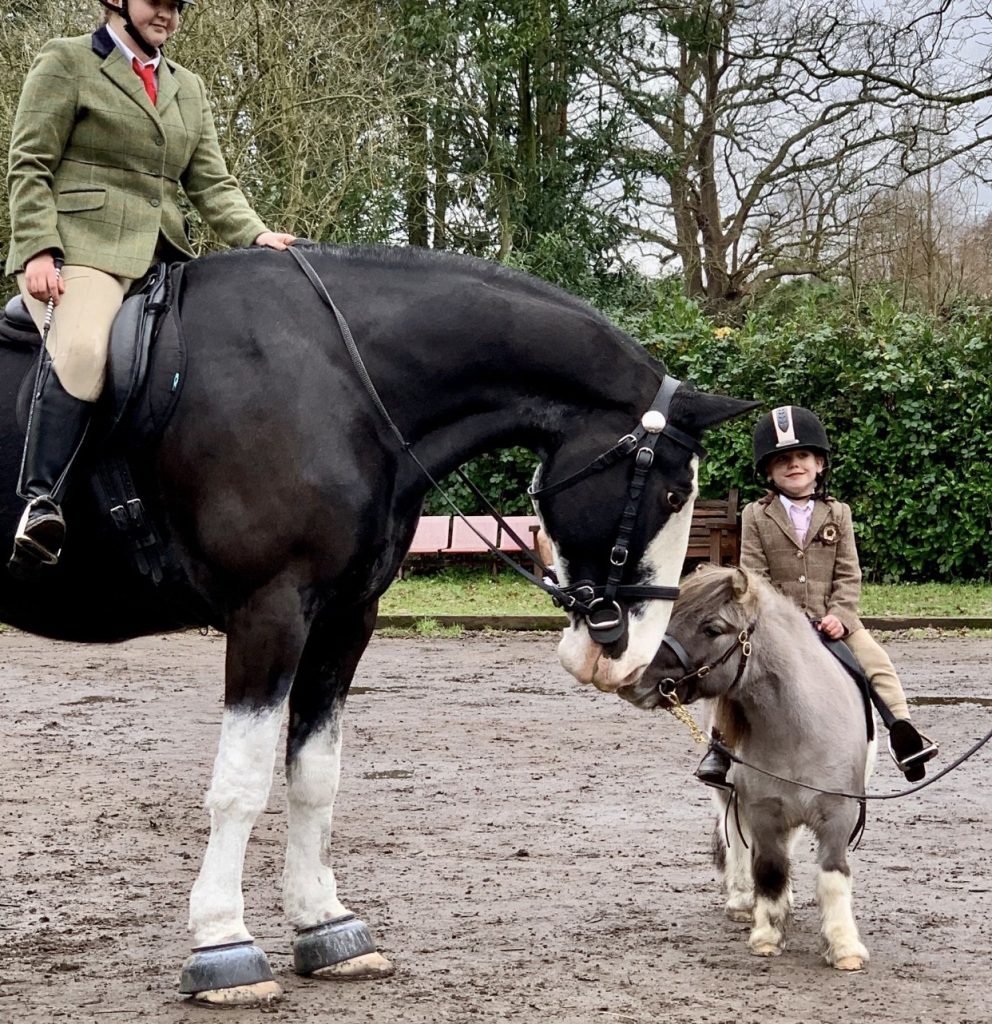 Trot Together Chobham