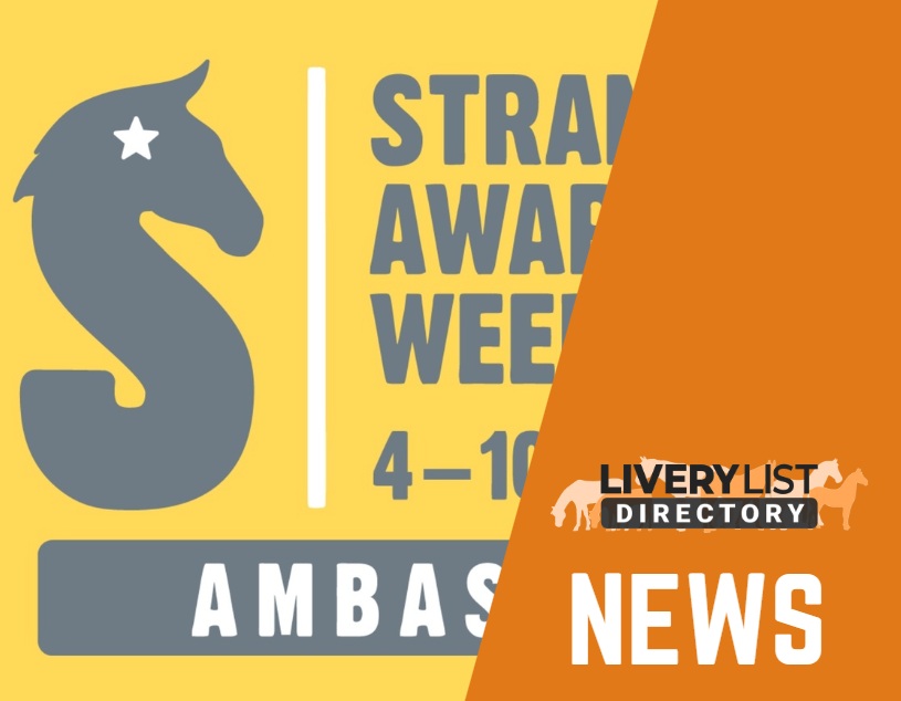 Horse and Yard Owners Urged to Join Strangles Campaign and Sign Up as Ambassadors