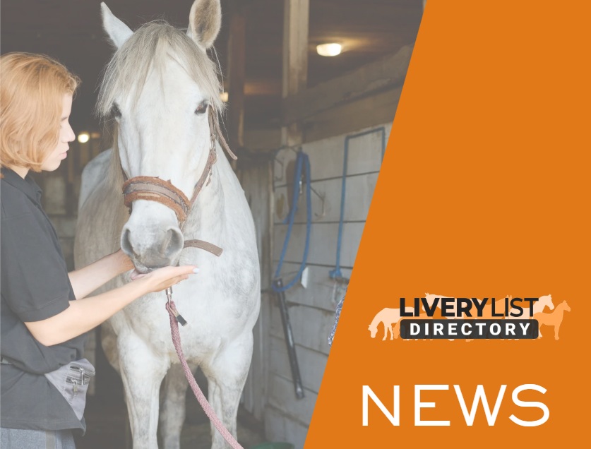 Important Update for Equestrian Employers: National Minimum Wage Rise