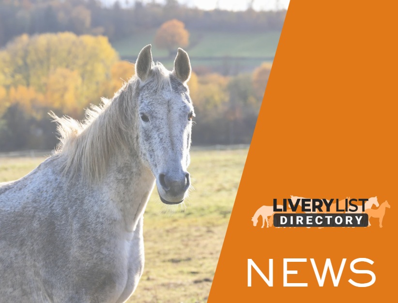 Updated BEVA Guidance on Equine Euthanasia