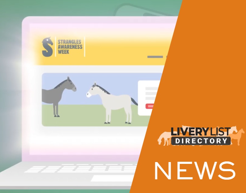 New Strangles Awareness Week Animation Highlights BEST Practices for Horse Welfare