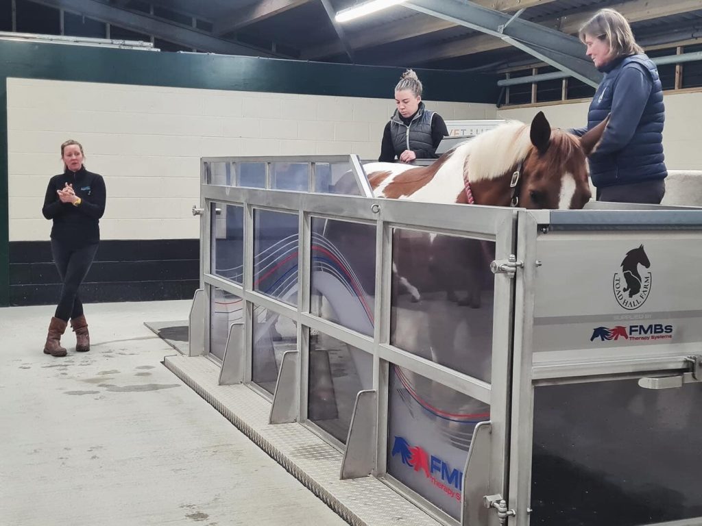 Toad Hall Equestrian Ltd