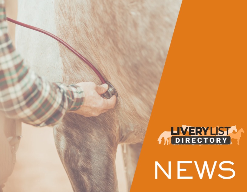 Changes Announced to Tackle High Vet Fees – What It Means for Horse Owners