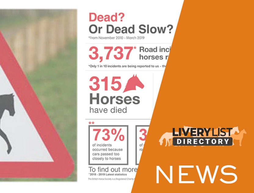 BHS 10-Year “Dead Slow” Campaign Data Shows Progress – But Not Enough