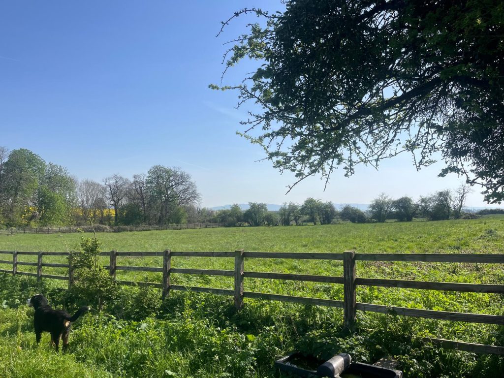 Sole Use Yard To Rent: Private Use