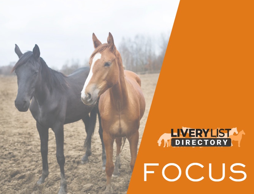 Understanding How Online Slot Games Operate In Modern Platforms