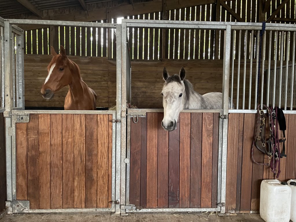 Moorgate Farm Livery