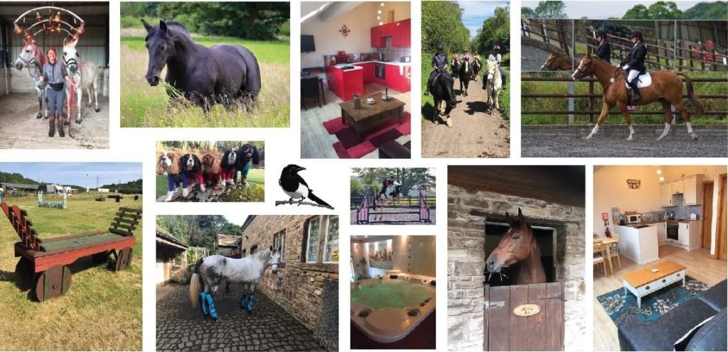 Lower Dale Farm EC/Magpie Cottages & Spa