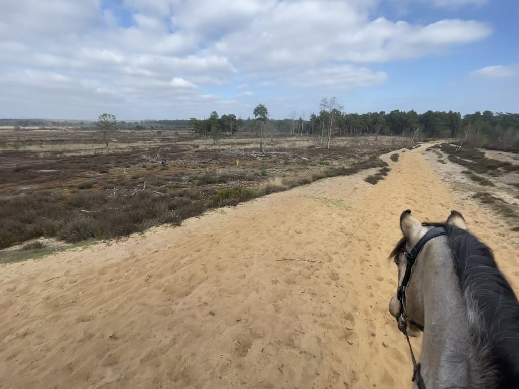 River Oaks Livery Yard