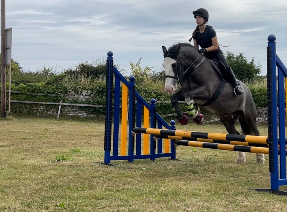 Divoky Riding School