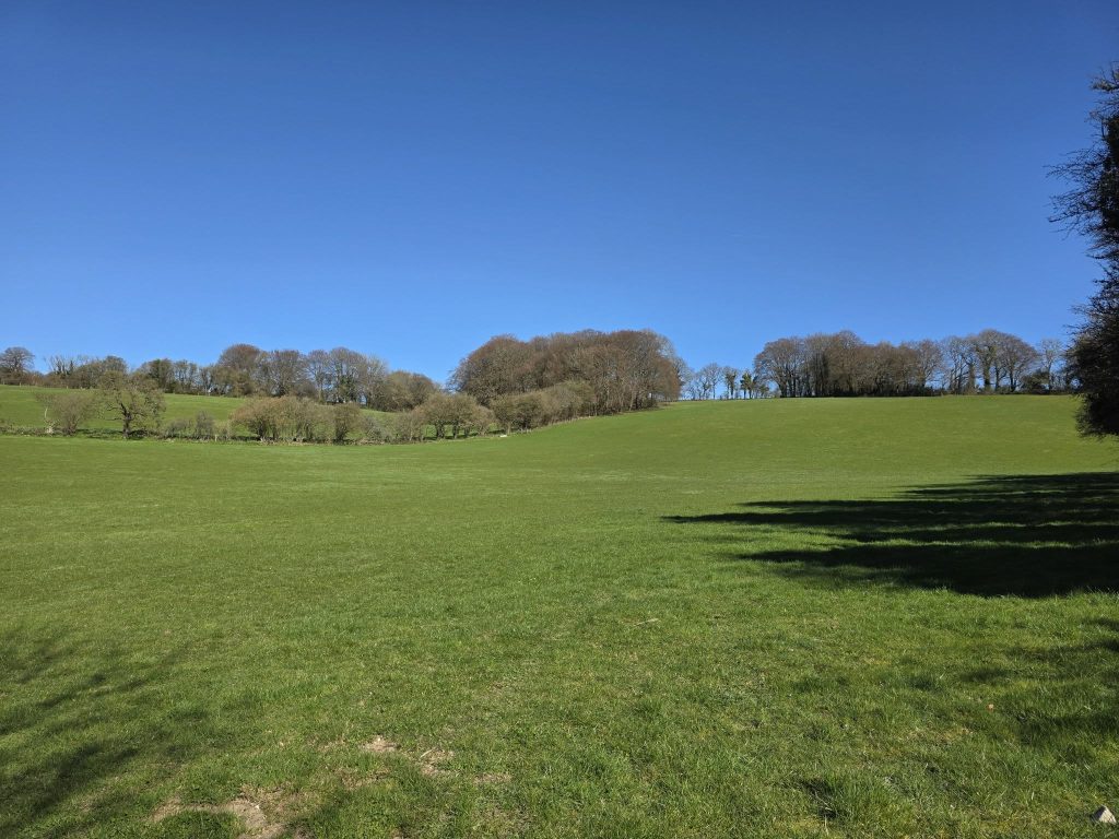 Peaceful Pastures Grazing