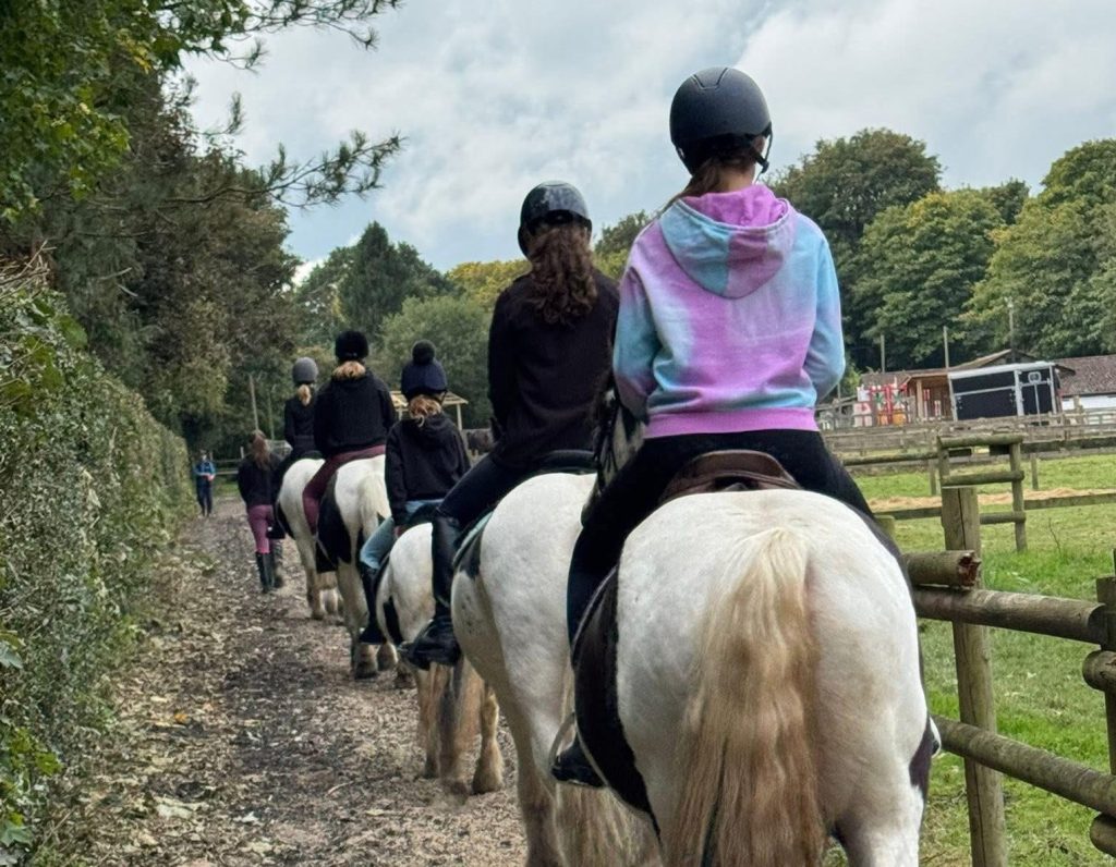 Pine Ridge Equestrian