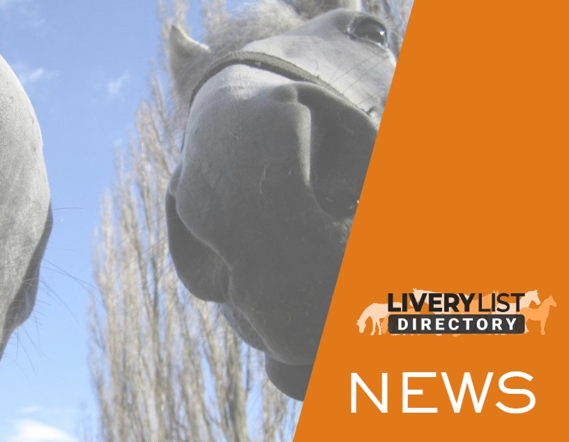 Rise in Equine Influenza Outbreaks Detected Across the UK