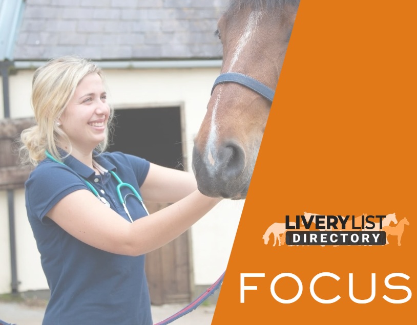 Who Can Make Decisions for Your Horse When You Can’t?