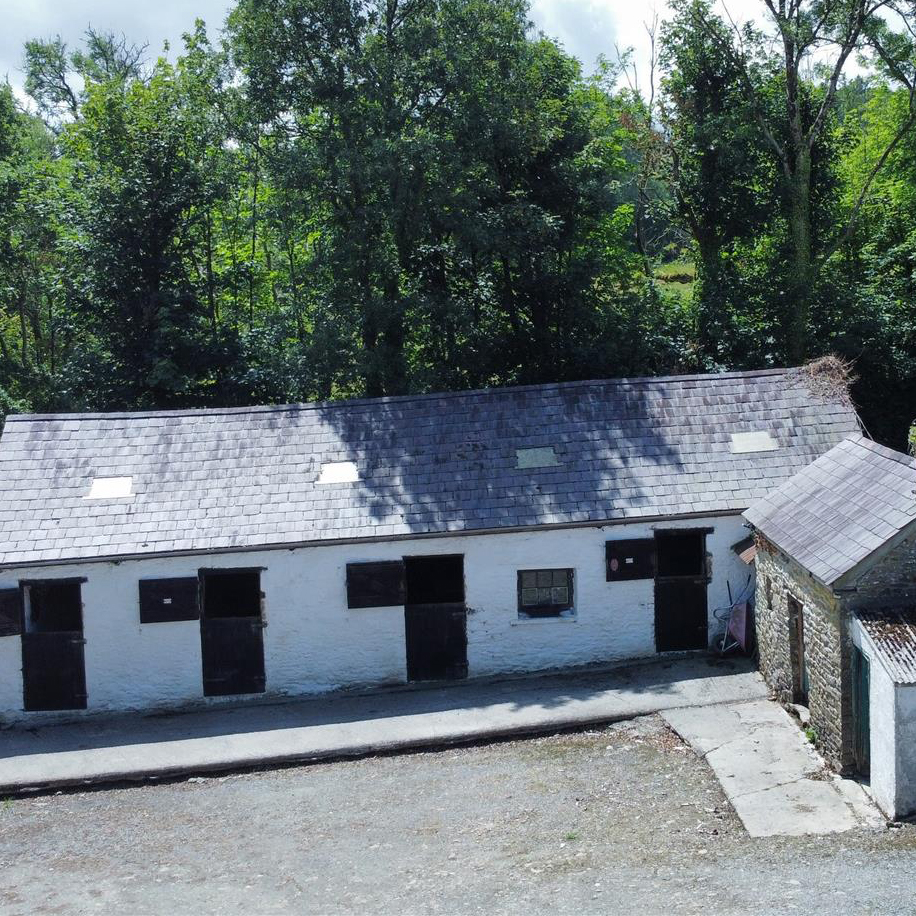 Coed-Y-Foel Stud and Livery