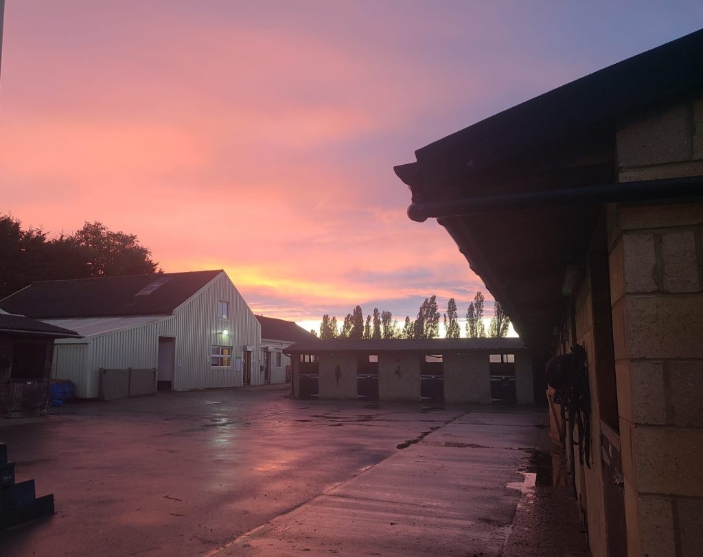 Chelmsford Equestrian Centre