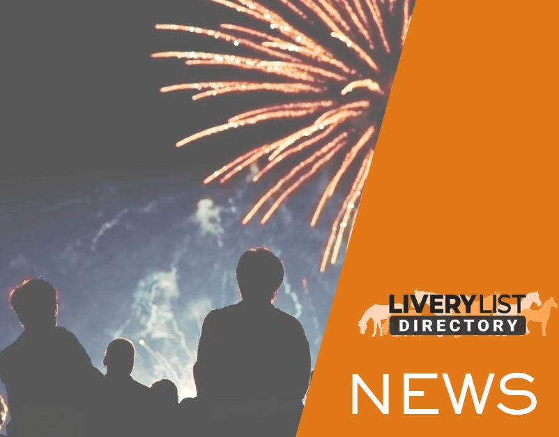 Government to Consult on Tougher Firework Laws