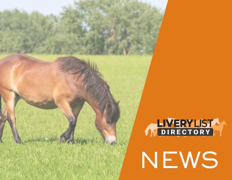 Industry Working Group Launches Sustainability Platform for Equestrian Sector