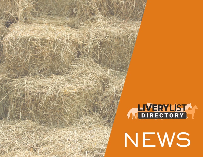 Hay Availability and Pricing in the UK: Key Findings from Animalweb’s 2026 Survey