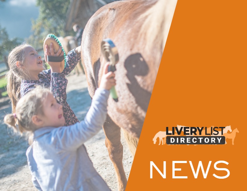 Benedict’s Law and Its Implications for Equestrian Safeguarding