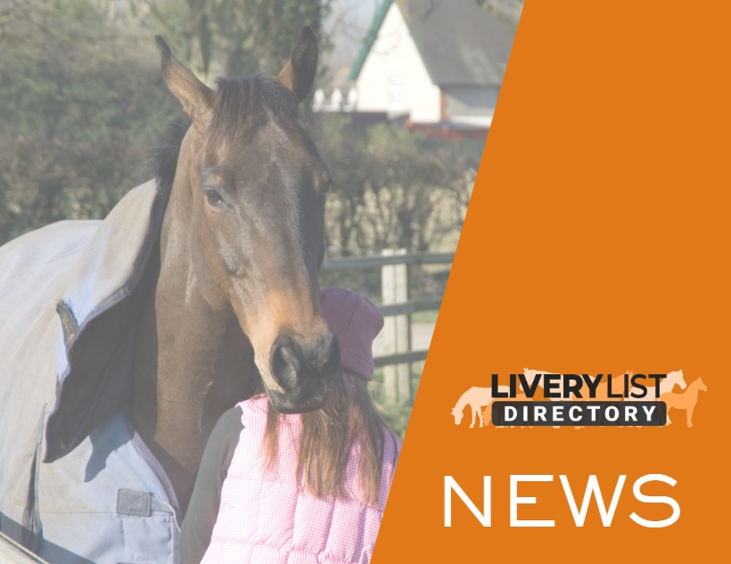 Survey Reveals Factors Influencing Horse Rugging Decisions