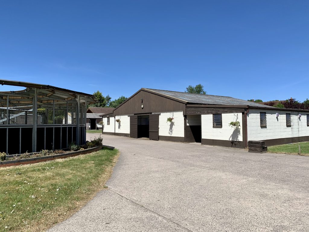 Swallowfield Equestrian