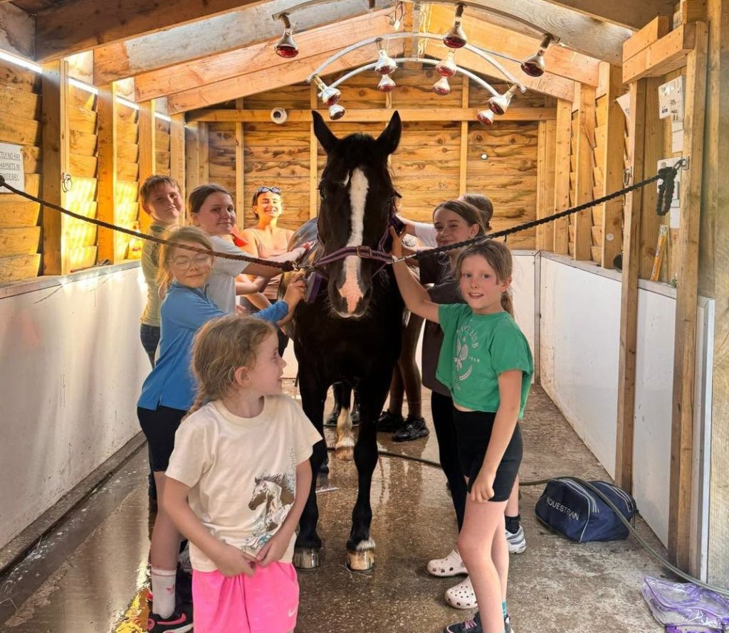 Daisy Nook & Oakhill Riding School