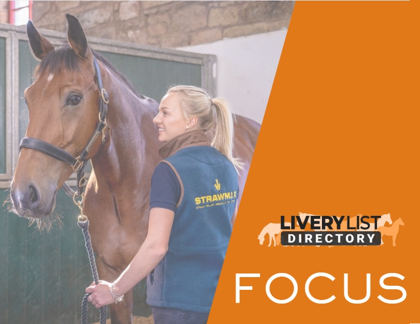 How to Protect Your Horse’s Health in Summer