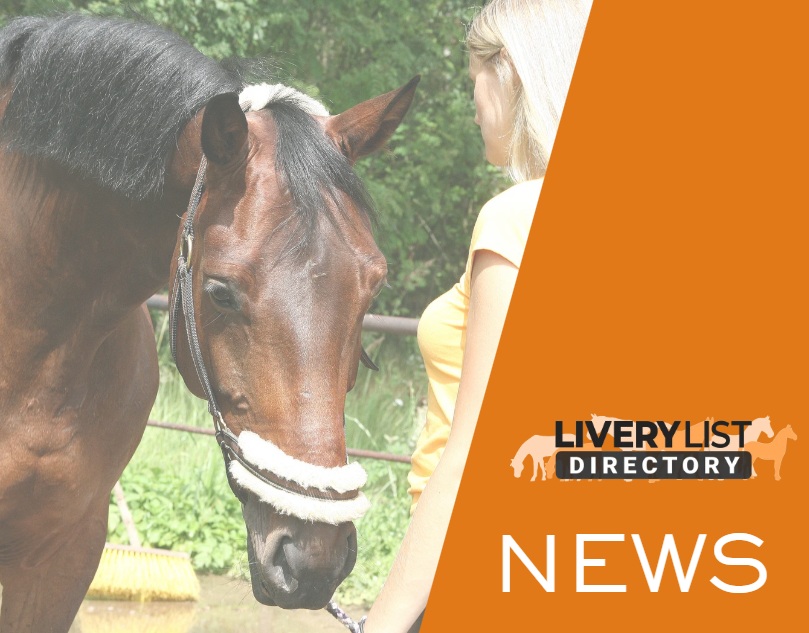 Working Pupil Roles in the Equestrian Industry: BGA Launches Survey