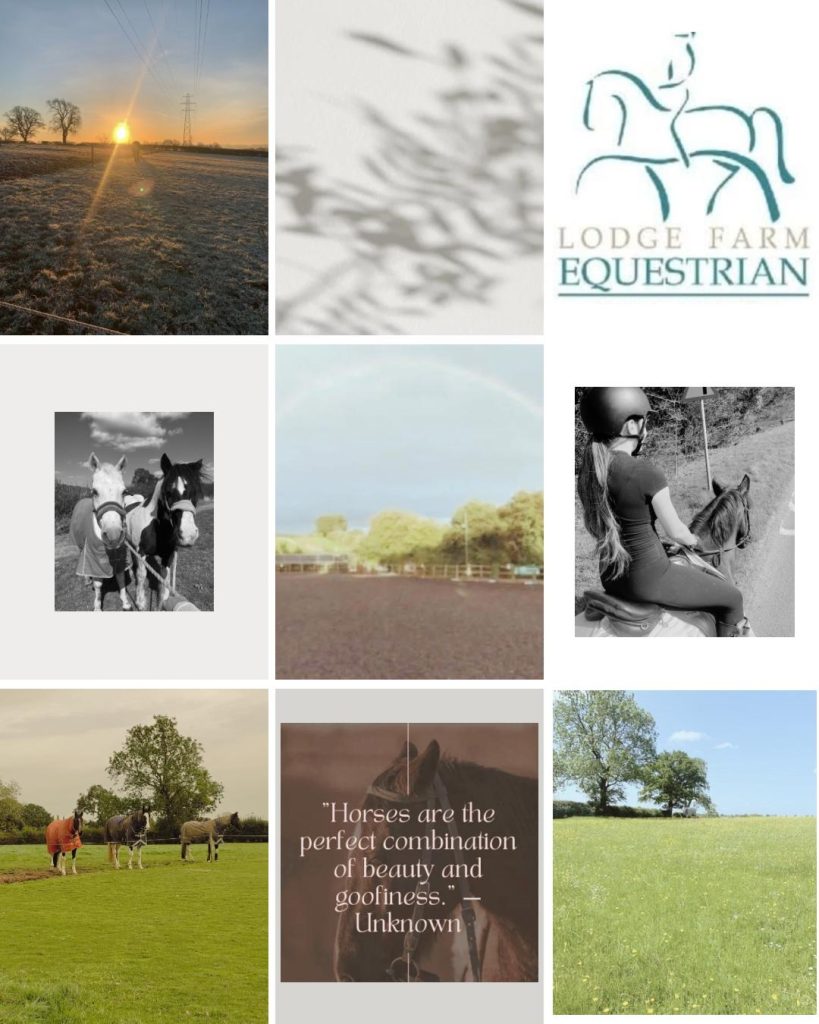 Lodge Farm Equestrian