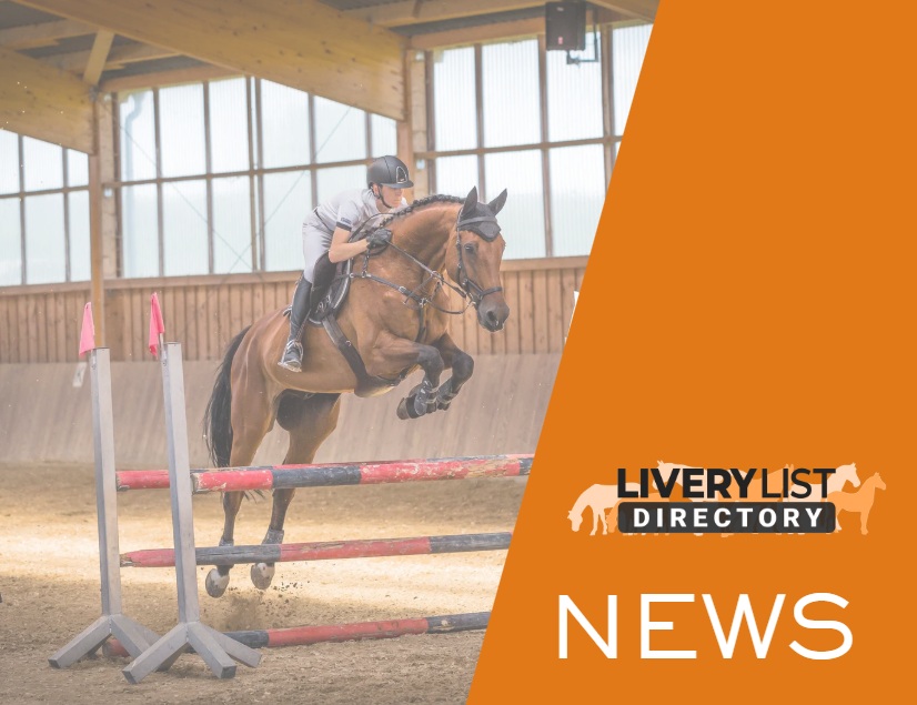 Horse Sport Leaders Call for Greater Transparency and Continuous Learning