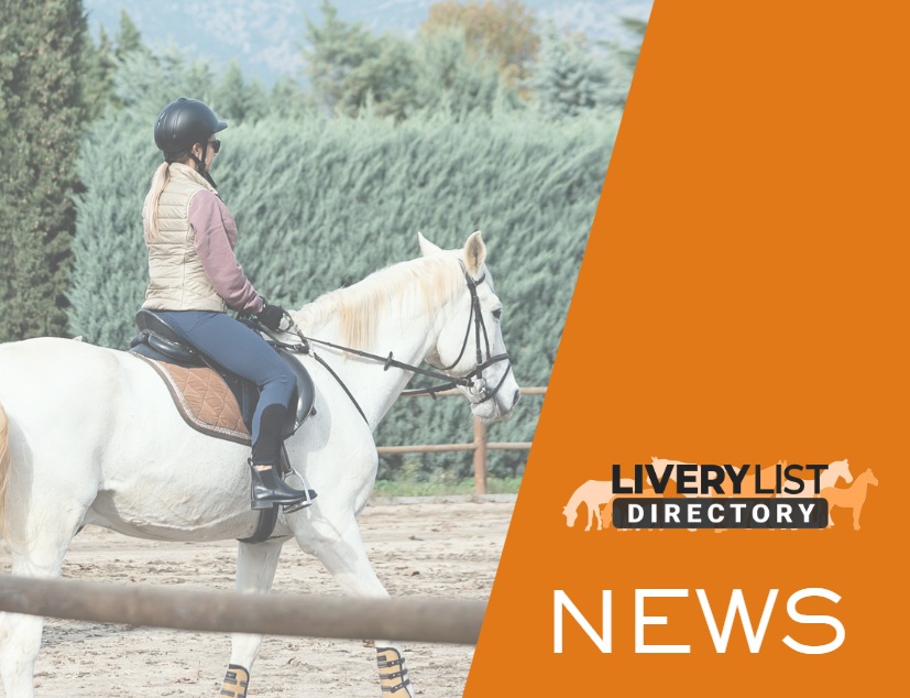 Rising Riding Lesson Costs Highlight Challenges Facing Riding Schools
