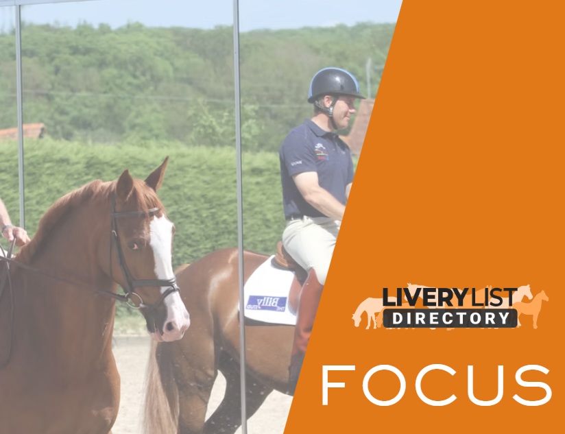 Why Arena Mirrors Are Becoming Essential in Modern Equestrian Facilities