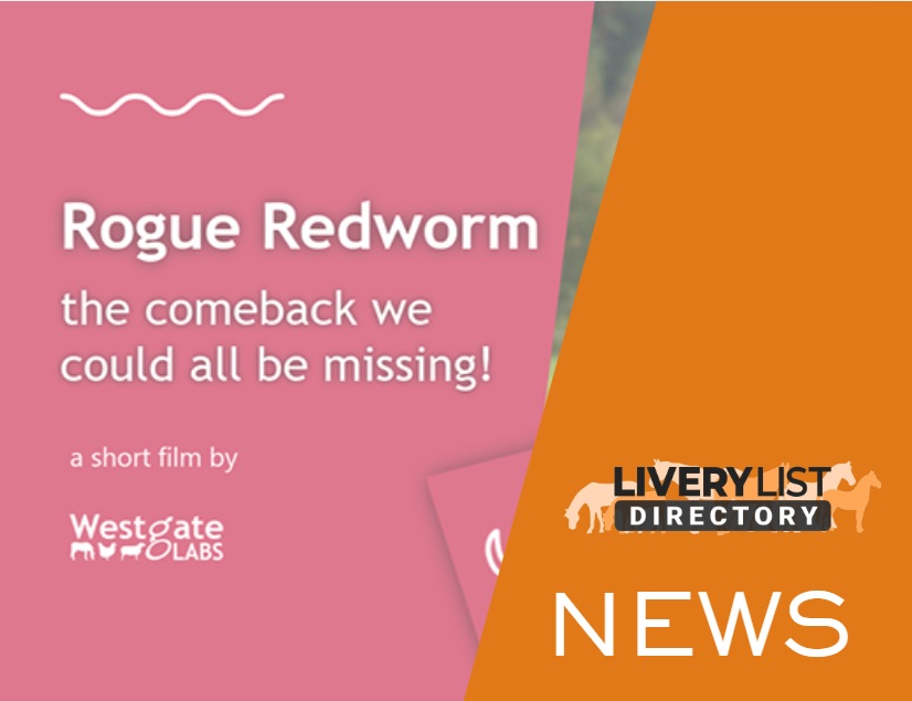 New Film Warns of Potential Resurgence of Dangerous Large Redworm in UK Horses