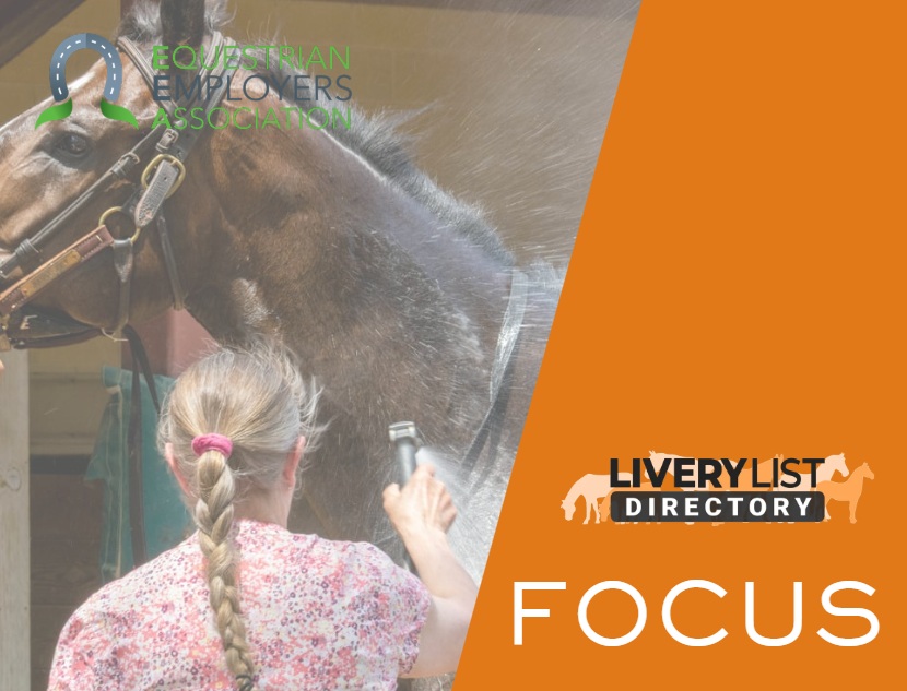 Summer Staffing at Livery Yards – Managing Client Demand and Legal Compliance