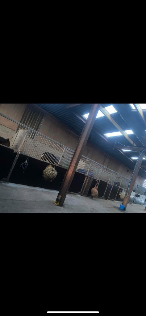H T Dressage