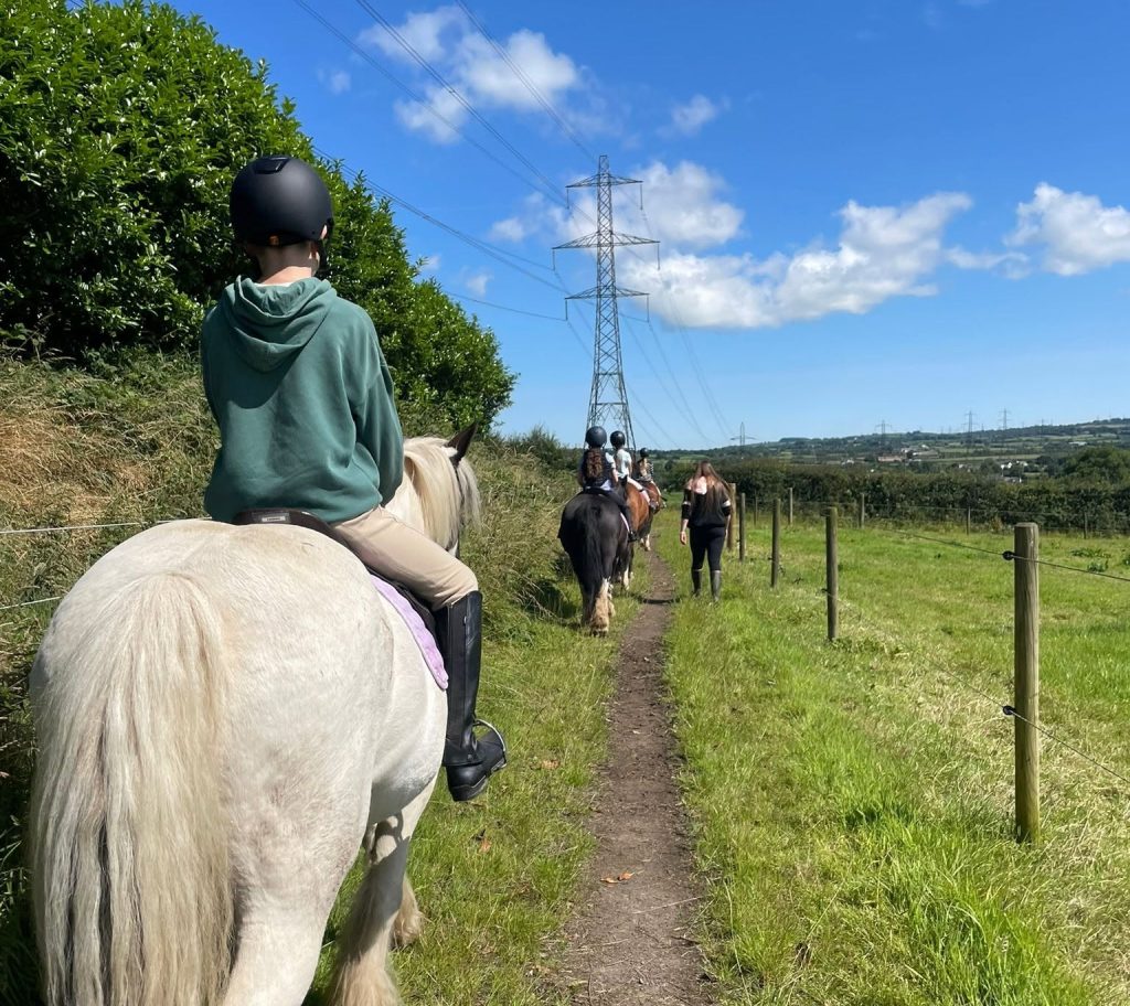 Laurel View Equestrian Centre