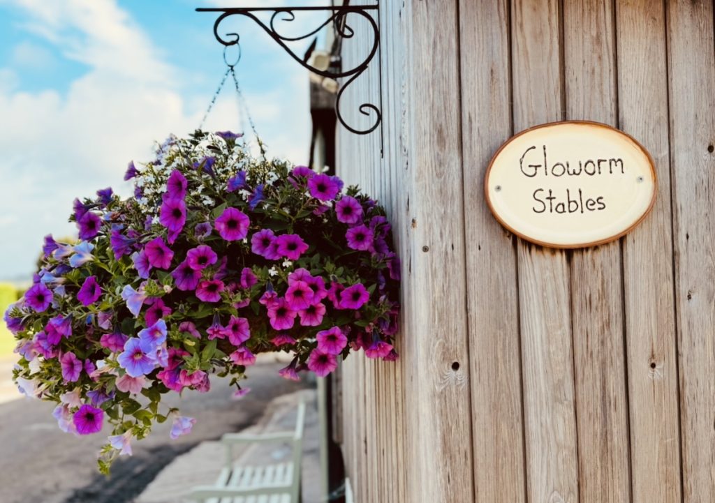 Gloworm stables
