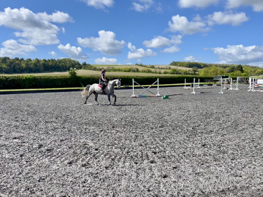 Ellie Fredericks Equestrian