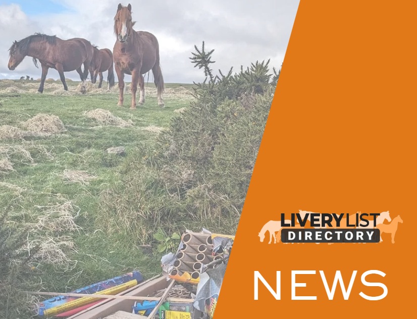New Firework Regulations Consultation: A Positive Step for Animal Welfare