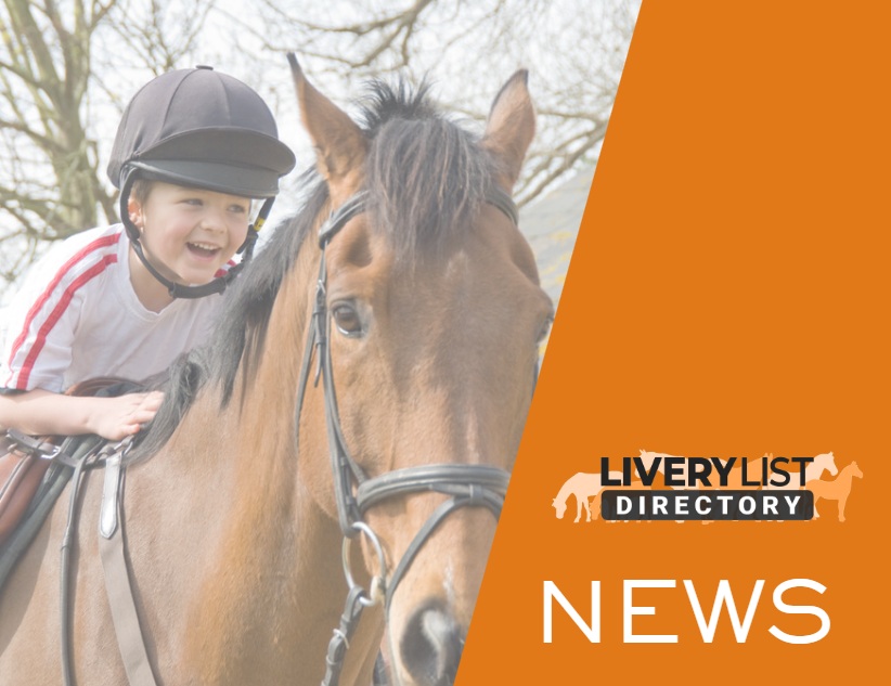 What Safeguarding Changes Mean for Equestrian Businesses